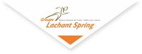 Groupe lachant spring