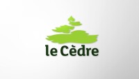 Le cèdre conseils