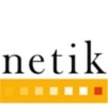 Netik - aliznet group