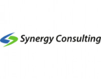 Synergies et développements consulting