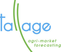 Tallage sas - stratégie grains