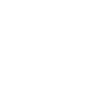 Sas vincent