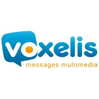 Voxelis