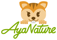 Ayanature
