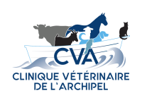 Clinique veterinaire de villepreux