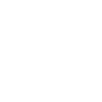 Dv experts