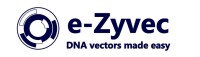 E-zyvec