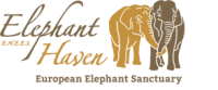 Elephant haven