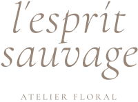 Esprit sauvage