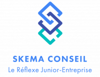 Skema conseil nice sophia-antipolis
