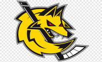 Club des hockeyeurs roannais