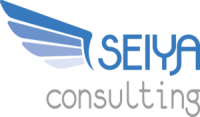 Seiya consulting