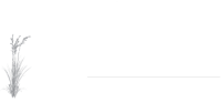 Taussat immobilier