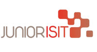 Intersystème junior-entreprise