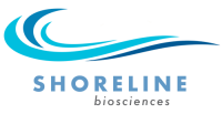 Shoreline