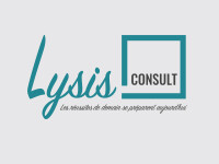 Lysis conseil