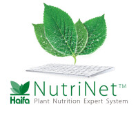 Nutri-net