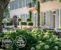 Only provence