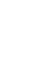Rdm video