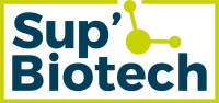 Sbconsult @ sup’biotech