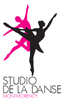 Studio de la danse