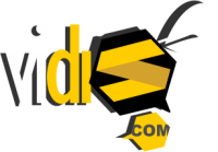 Vidis communication
