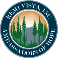 Remi vista inc.