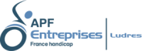 Apf entreprises ludres