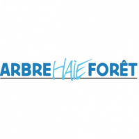 Arbre haie forêt