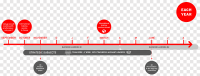 Auchan graduate program