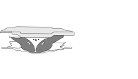 Imia llc