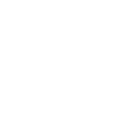 Canari recrutement & consulting international