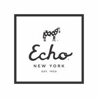 Echo design group