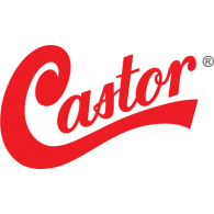 Castor srl