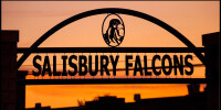 Salisbury township school district