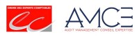 Amce cabinet carmignani et associe