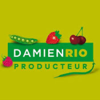 Damien rio