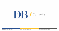Db conseils- conseils en solutions d'entreprises