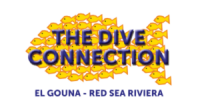 Dive connection