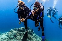 Bali diving dive concepts