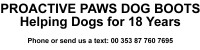 Pro-active paws dog boots