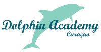 Dolphin academy curacao