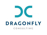Dragonfly procurement consulting