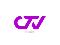 Dtv consulting