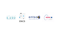 European network for cyber security u.a. (encs)