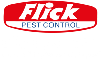 Flick pest control