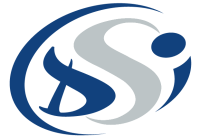 France dsi