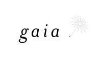 Gaia consulting partner, sa