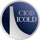 Gicb international
