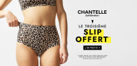 Lingerie sipp
